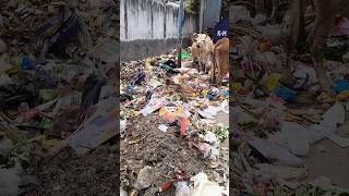 Wait For Fun video 😂😂 #mrfunny #funny #comedyvideos #new #viral #bolgs