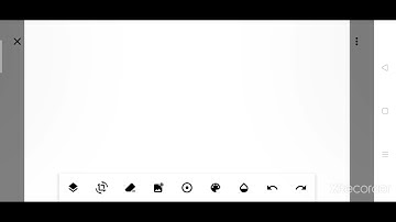 Model activity task class 7 science part 2