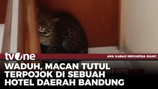 Momen Macan Tutul Kedapatan 'Check In' di Hotel! | AKIS tvOne