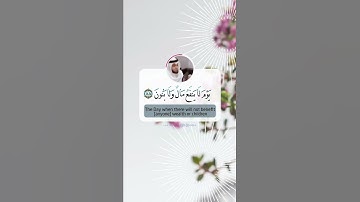 أحمد النفيس | حالات واتس اب قرآن كريم 💌⚡