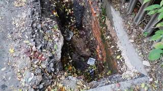 The Anonying Worker That Are Lazy