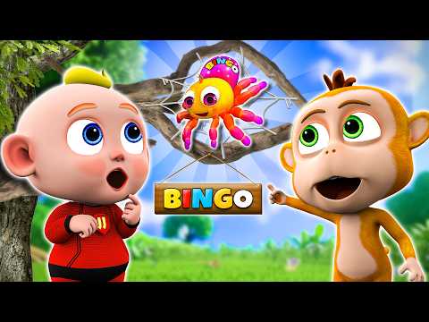 BINGO Song | Baby Song + More Kids Songs & Nursery Rhymes | PIB World