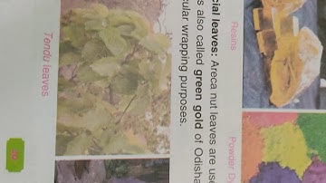 Class#5#science#chapter3#part2