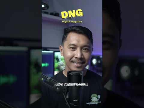 Video: Apa kepanjangan dari jpeg?