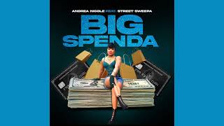 Andrea Nicole - Big Spenda Feat Street Sweepa (Official Audio)