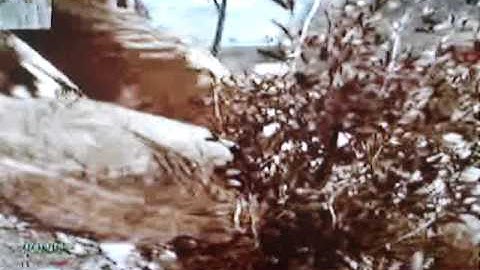 Modern Warfare 2 - Afghan - Intervention Thermal Scope A 1ST NUKE.