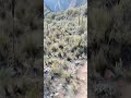 Solo trekking w Andach