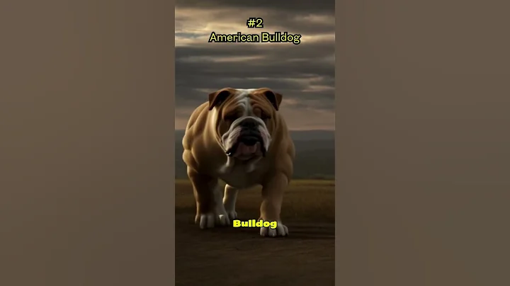 सबसे आक्रामक कुत्तों की 5 नस्लों का खुलासा #कुत्ते #खतरनाक #शॉर्ट्स
