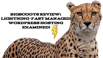 BigScoots Review: Lightning-Fast Managed WordPress Hosting Examined [2025]