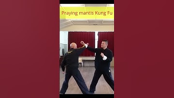 Mastering Praying Mantis Kung Fu: Unleash the Power of Three Devastating Punching Techniques