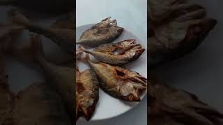 $Fish fry recipe (Pan fried crispy fish) - Swasthis Recipes
