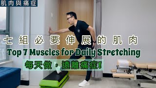 七組必做伸展的肌肉! 每天伸展減少痛症!Eng Subtitles] The Top 7 Muscles for stretching