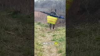Smart Dog Knew It Would Rain… Before His Owner 😳#shorts #usa