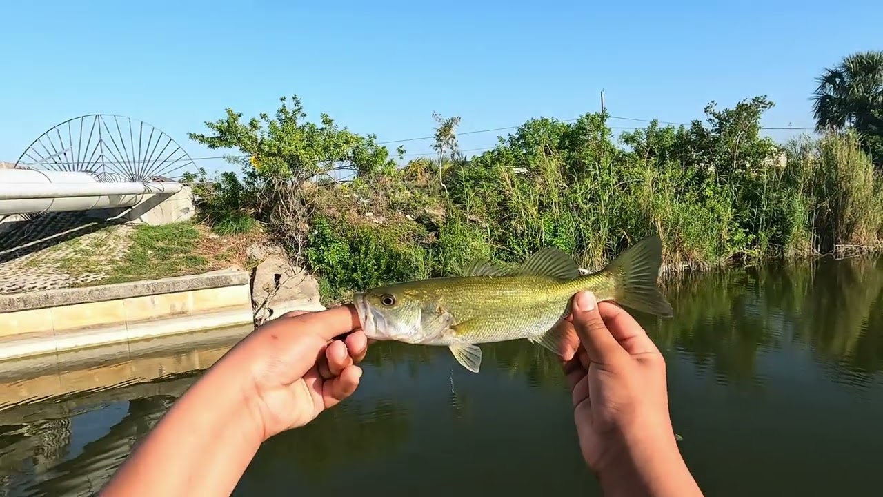 Bass fishing in the canals of Cape Coral ￼