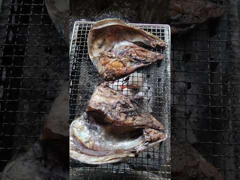 マグロのデカ頭でBBQ