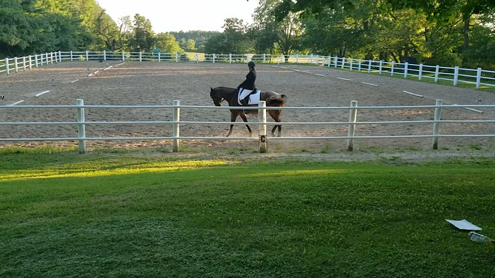Lindsay Trimble Walk Trot Test B