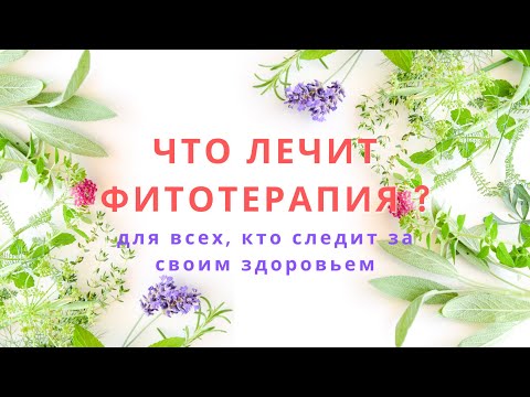 Фитотерапия - что это такое? Особенности лечения травами.