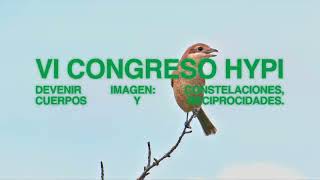 Cortinilla Vi Congreso Hypi