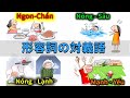 【聞き流し】#7「形容詞の対義語」|| らくらくベトナム語