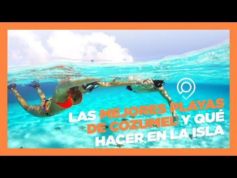 Video: Las Mejores Playas de Cozumel