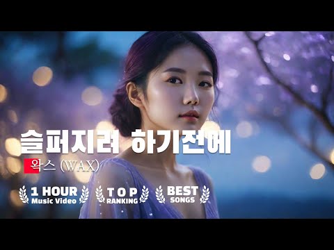 왁스 슬퍼지려 하기전에 1시간 라이브 왁스 슬퍼지려 하기전에 커버 케이팝 KPOP