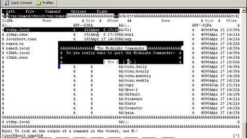 Bài 27: Thiết lập DNS Quản Lý nhiều tên miền trong LINUX - VIDEO HỌC LINUX