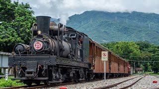 阿里山鐵路Shay25號蒸汽火車 林鐵FUN暑假專列紀錄