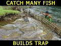 Eating Delicious! Primitive Trap Catch Many Fish, Smart Girl Builds Trap - Getting Survival Skills