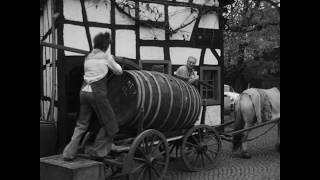 Das Gewerbe der Weinschröter in Nieder- und Oberdollendorf