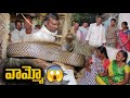 Indian spractical venomous cobra snake rescue contact 7396969617