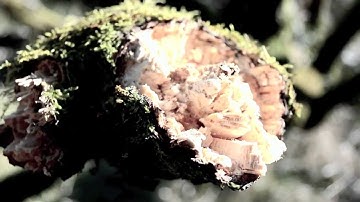 A Level Media Production (Audio Visual)