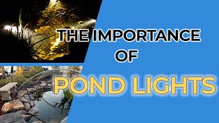 Are Pond Lights Important?