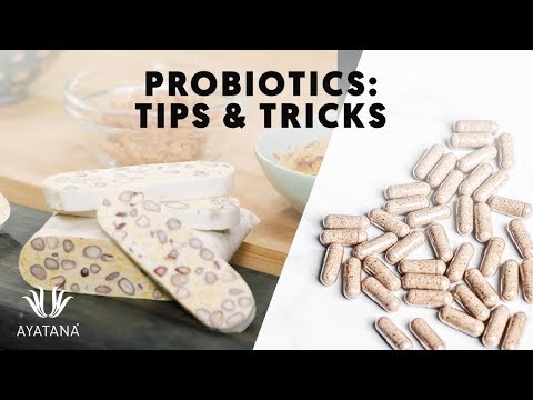 Does Tempeh Contain Probiotics