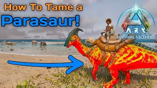 How To Tame A Parasaur on ARK Ascended!!! Beginner Dino Guide