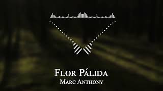 Marc Anthony - Flor Pálida