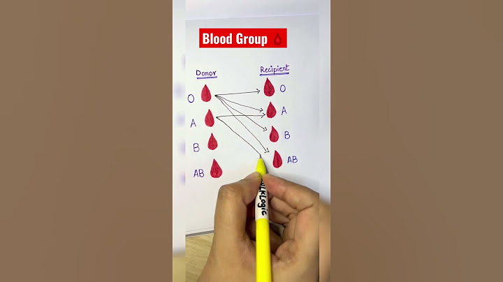 Blood Group 🩸