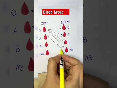 Video: Ano ang isang functional group na Chem?