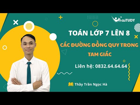 Video Toán lớp 7 lên 8 - Các đường đồng quy trong tam giác,... - youtube