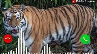 Tiger ki New Ringtone 2021 Bast Hindi Sher ki ringtone dahrne ki Ringtone 2021