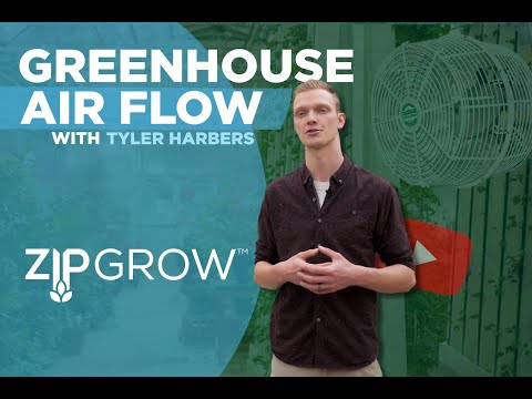 Video: Plitimas oro sluoksniu – kaip vėdinti augalus