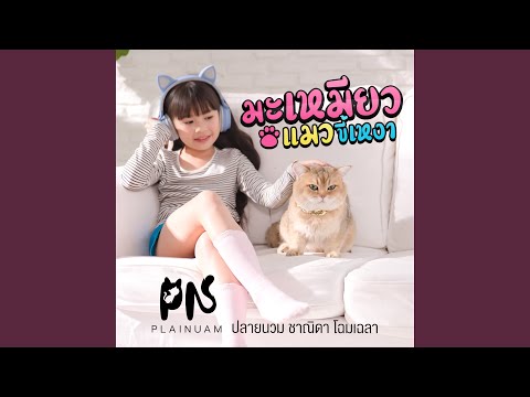 มะเหมียว (แมวขี้เหงา)