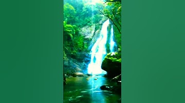 📖 سورة البلد – تلاوة خاشعة تهز القلوب 💔بصوت الشيخ: ماهر المعيقلي #الشيخ_ماهر_المعيقلي