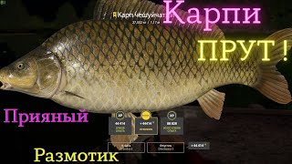 Russian Fishing 4 оз.Янтарное Троф! размот ! Здоровенный карп!