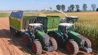 Mais 2022 : Claas Terratrac / Claas Jaguar 970 / LU Steyns / Fendt 942 / silage / Maishäckseln / 4K