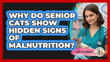 Why Do Senior Cats Show Hidden Signs Of Malnutrition? - Happy Cat Handbook