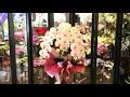 造花胡蝶蘭 御祝い 開店祝い 光触媒 リアルアート