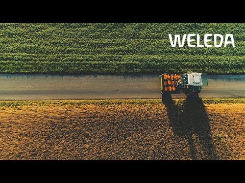 Unser Weg zum Produkt: Einblick in unsere Herstell- und Produktionsmethoden