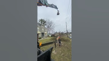 Just dump it! #like #comment #subscribe #tree #work #fun #arborist #big #drop #crane #stihl #shorts