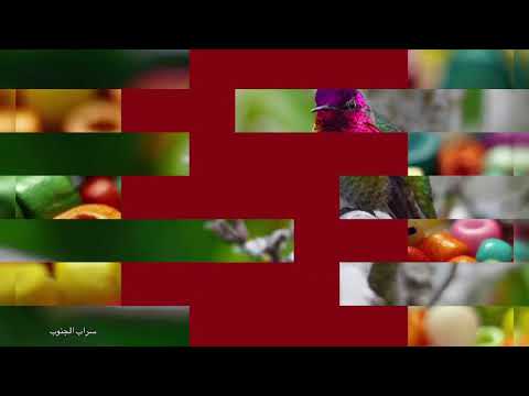 موسيقى مصورة اتمنى تنال على اعجابكم