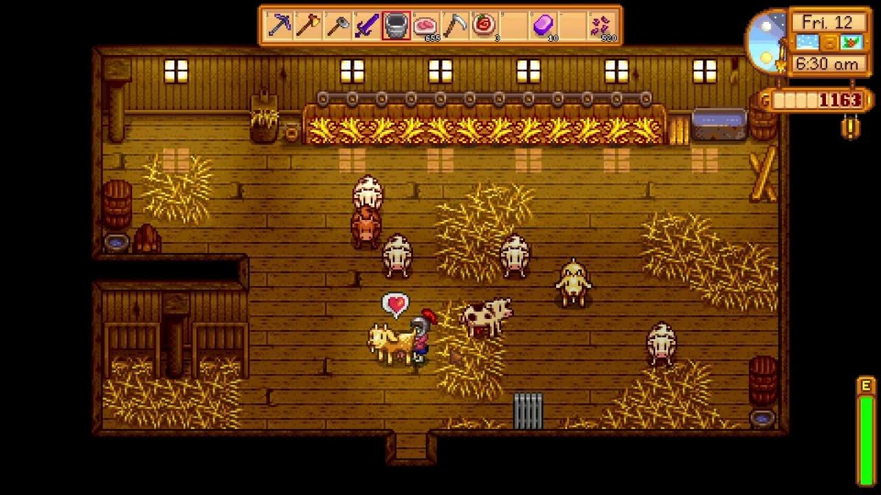 Как доить коров в stardew. Тигровая форель stardew valley. Стардью валли хлев. Stardew valley как доить коров. Как доить коров в stardew.